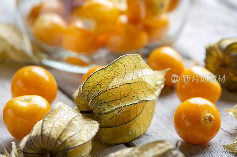 冬樱桃- Physalis